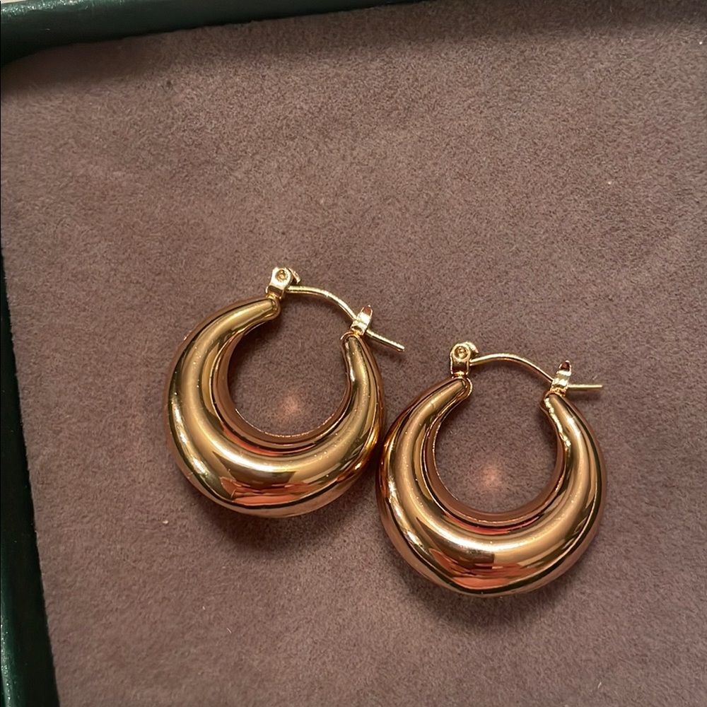 Gold Hoop Earrings